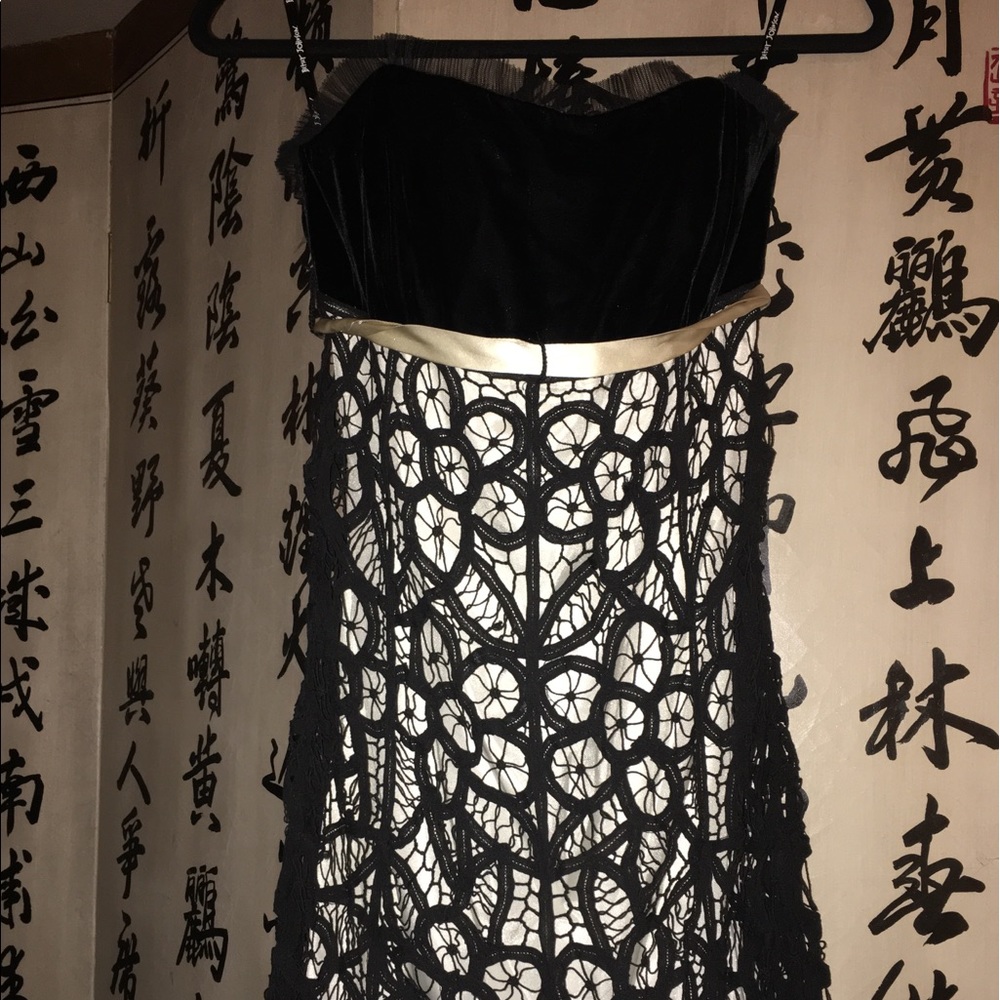 Betsey Johnson Vintage Lace Dress